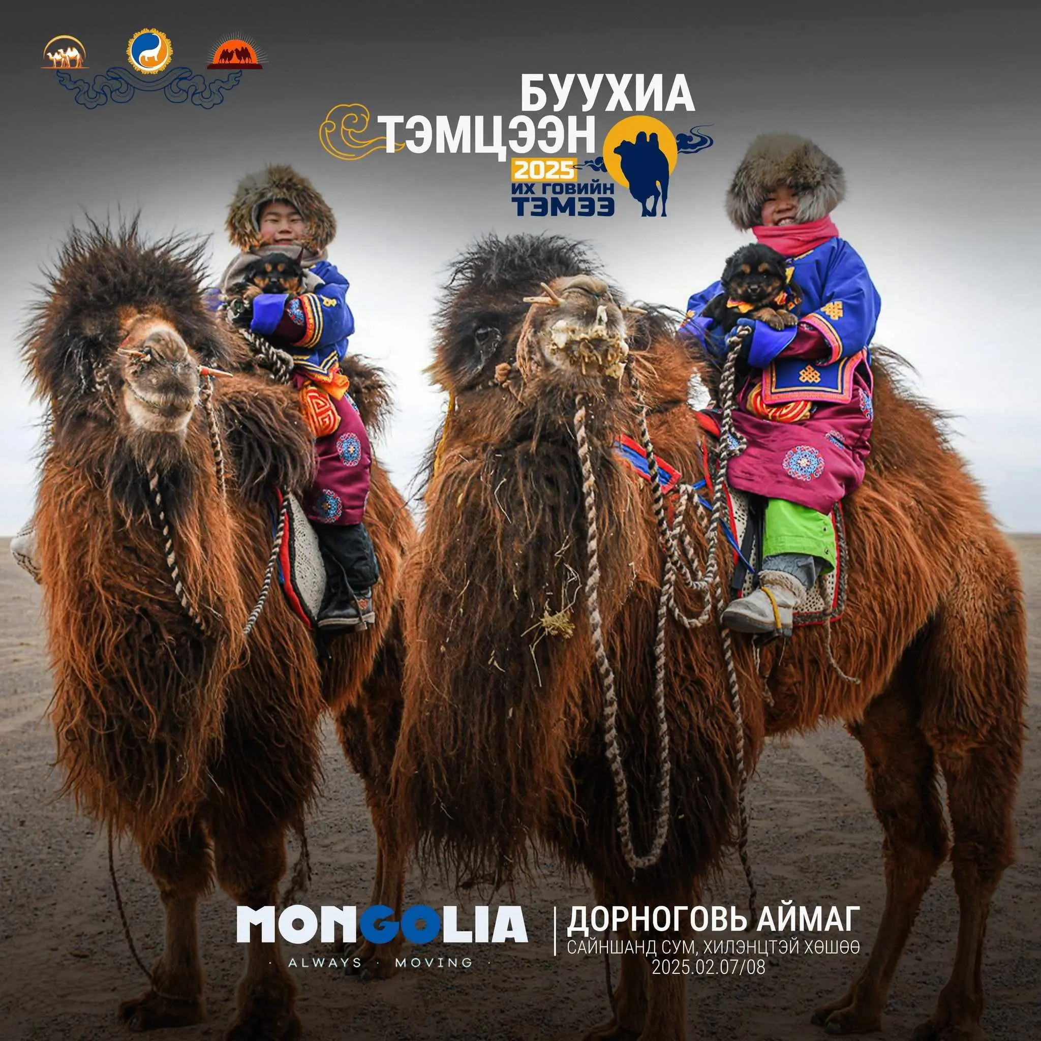 🐫🐫🐫 “ИХ ГОВИЙН ТЭМЭЭ-2025” ТЭМЭЭЧДИЙН БАЯР, УЛСЫН ЗӨВЛӨГӨӨН БОЛНО