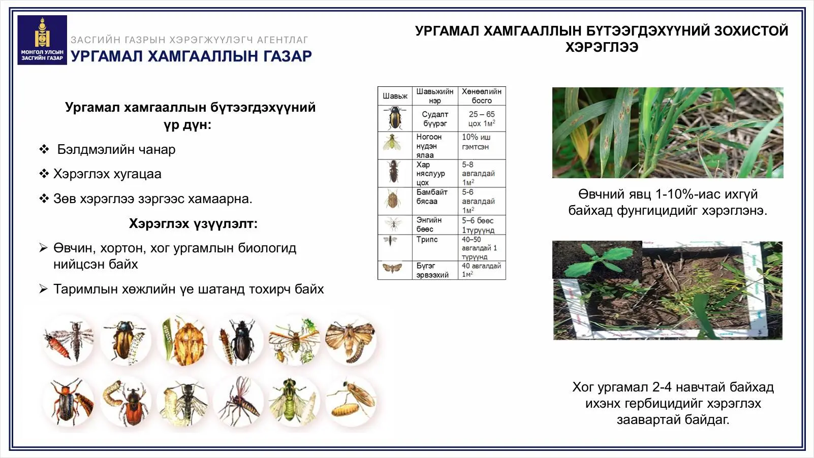 asd