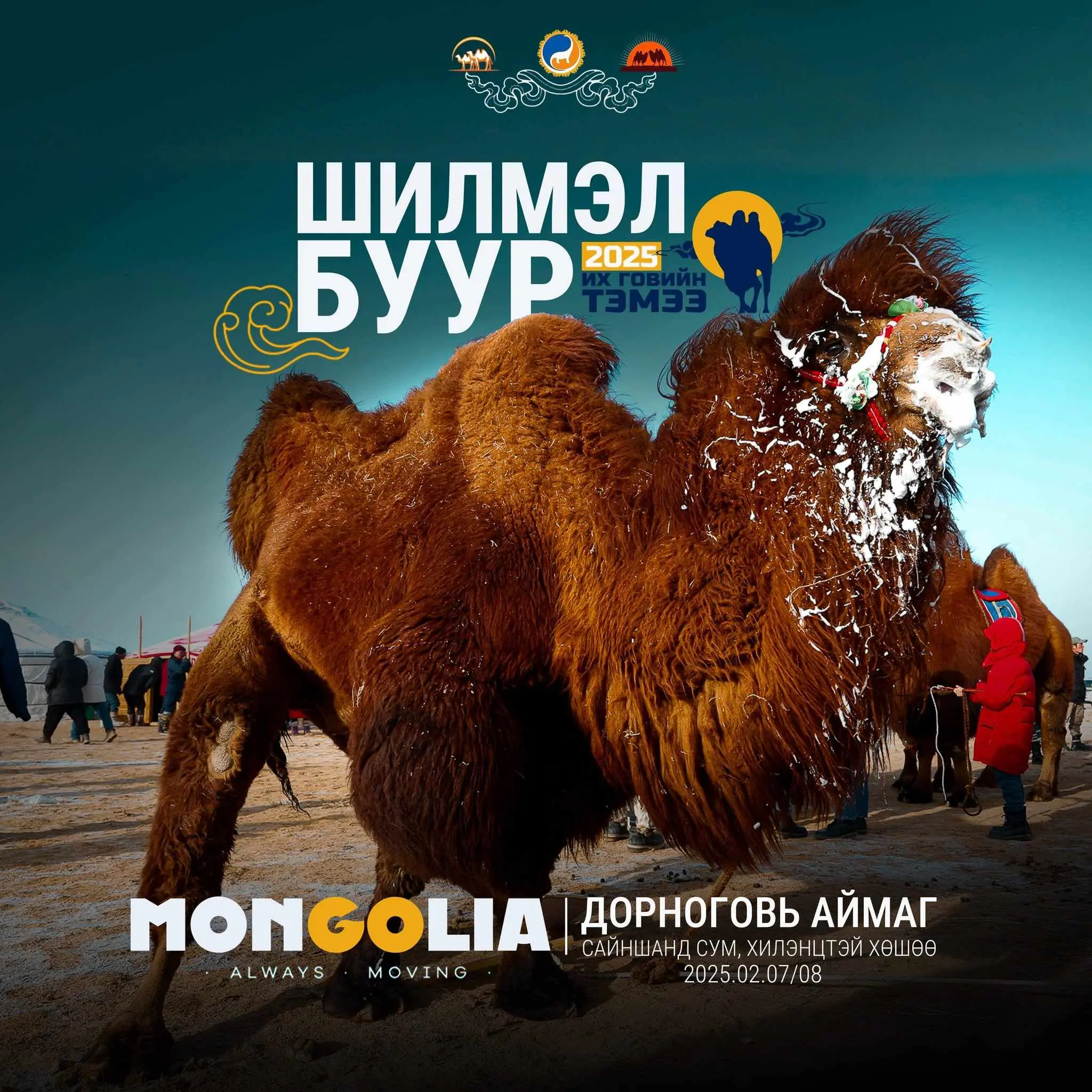 🐫🐫🐫 “ИХ ГОВИЙН ТЭМЭЭ-2025” ТЭМЭЭЧДИЙН БАЯР, УЛСЫН ЗӨВЛӨГӨӨН БОЛНО