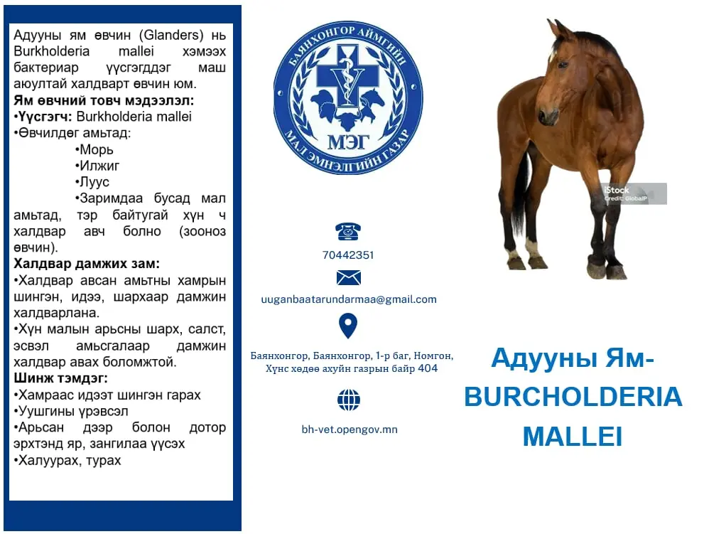asd