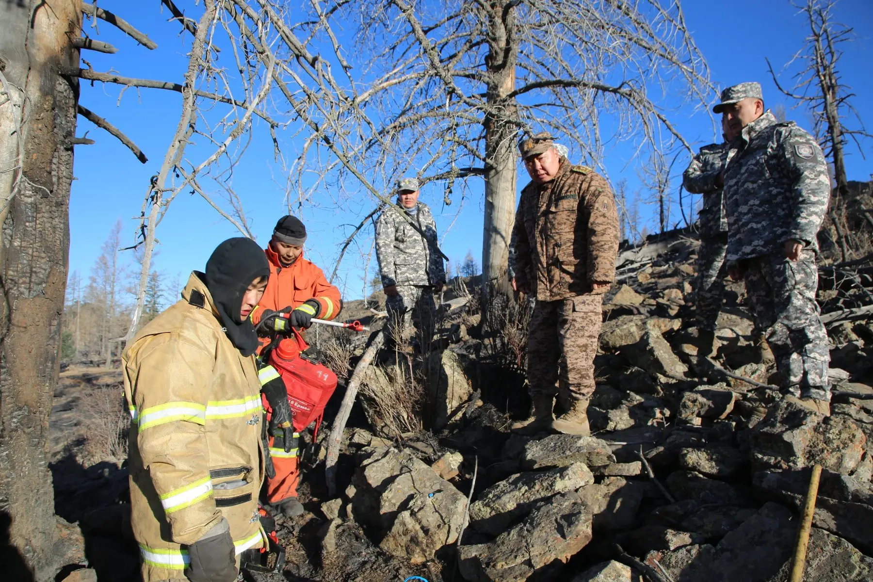 Preliminary data shows that 56 hectares of land have been affected by the fire.