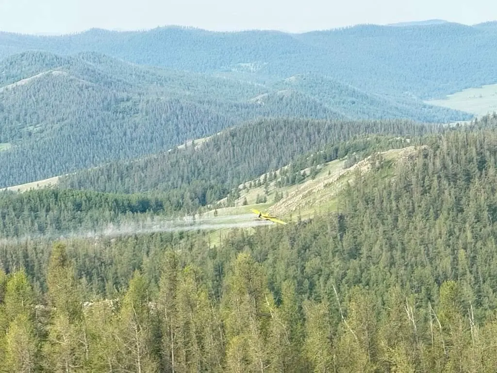 asd